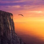 Comfort Zone…